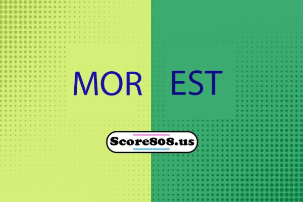 Moreirense vs Estoril