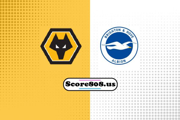 Wolves vs Brighton