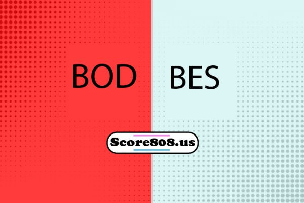 Bodrumspor vs Besiktas